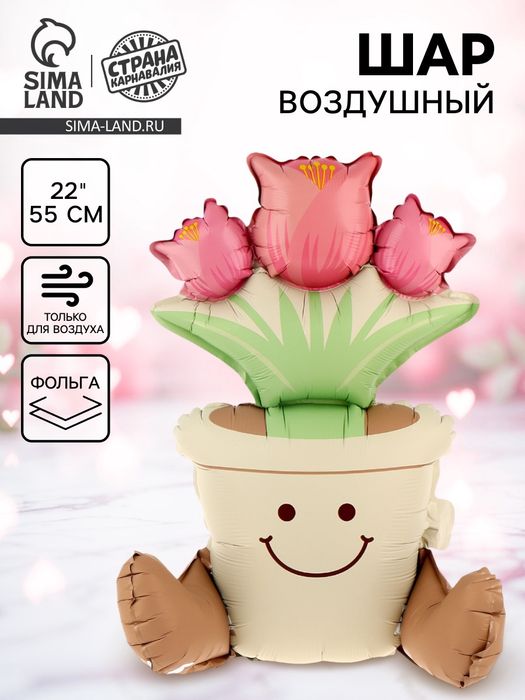 Воздушный шар цветы