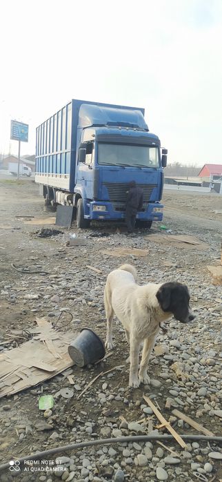 Евро Маз 13 000 доллар