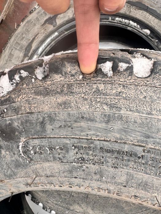 Шины 19,5 дюмовые