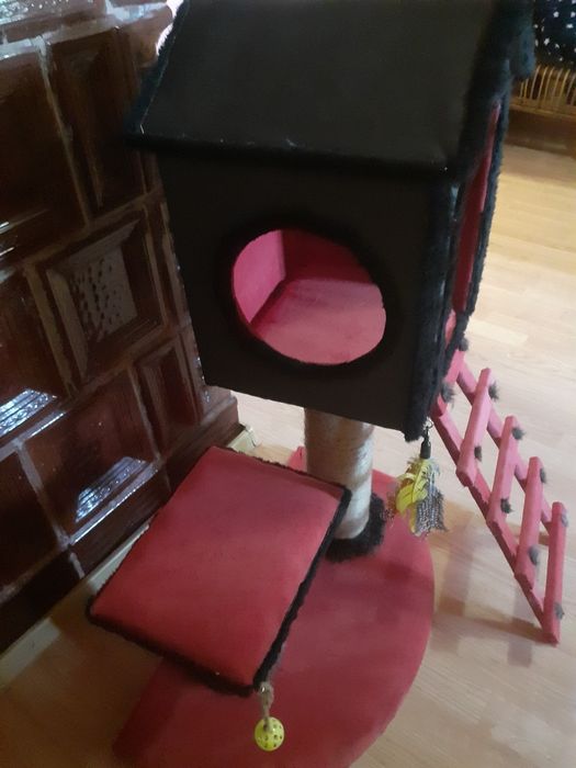 Ansamble pentru pisicuțe