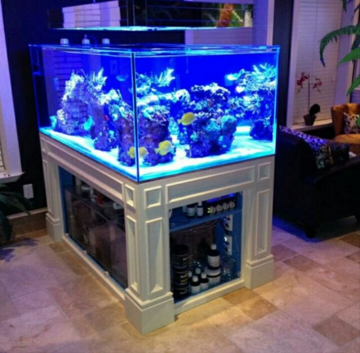 Изготовление и ремонт аквариума продажа рыб обслуживание и другие усл