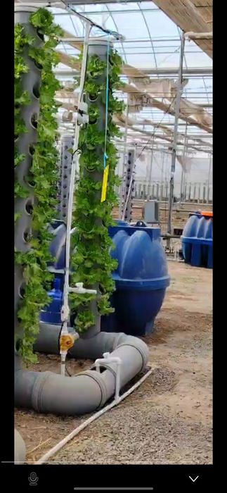 Продаётся теплица