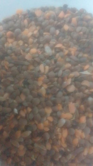 Отходы Зерноотходы Полова Овёс