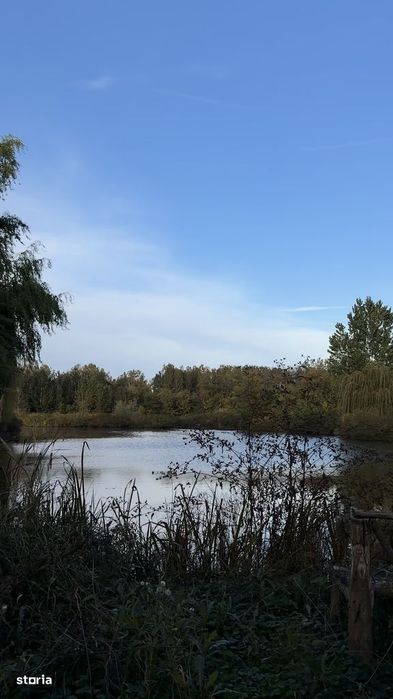 Baltă Pescuit cu cabana / Afacere la cheie