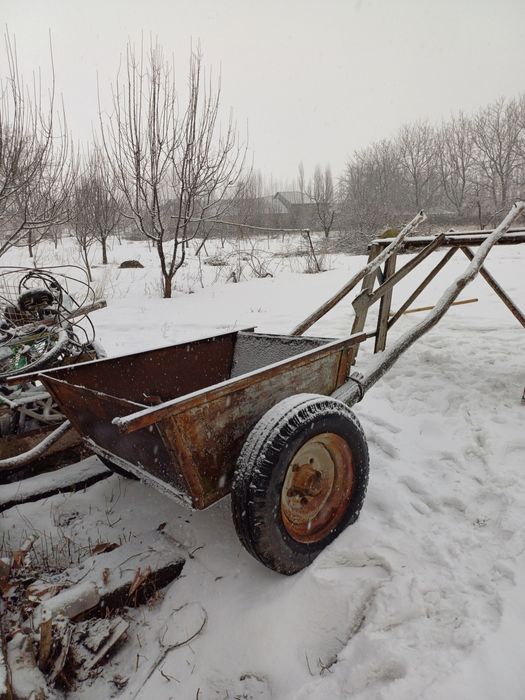 Арба ат арба телешка
