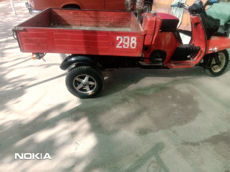 Муравей кизил радной