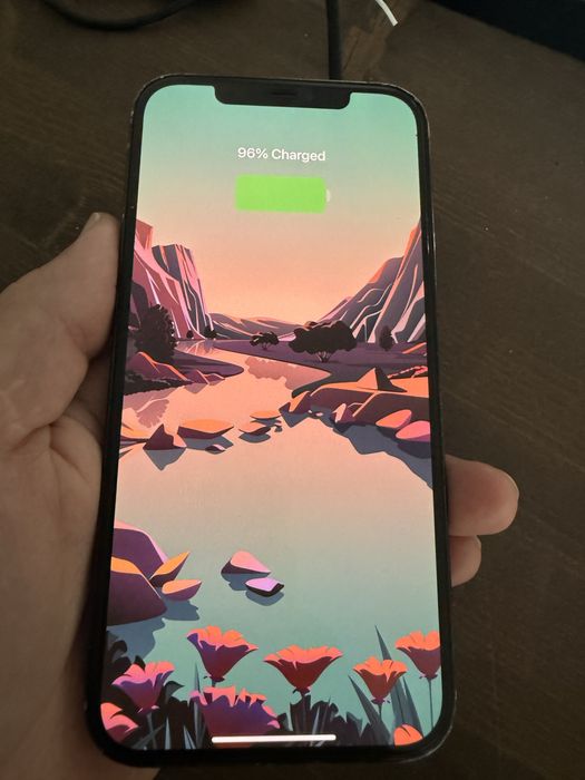 iPhone 12 Pro Max 512GB — рабочий, но есть нюансы