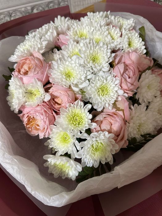 Продам  живые  цветы