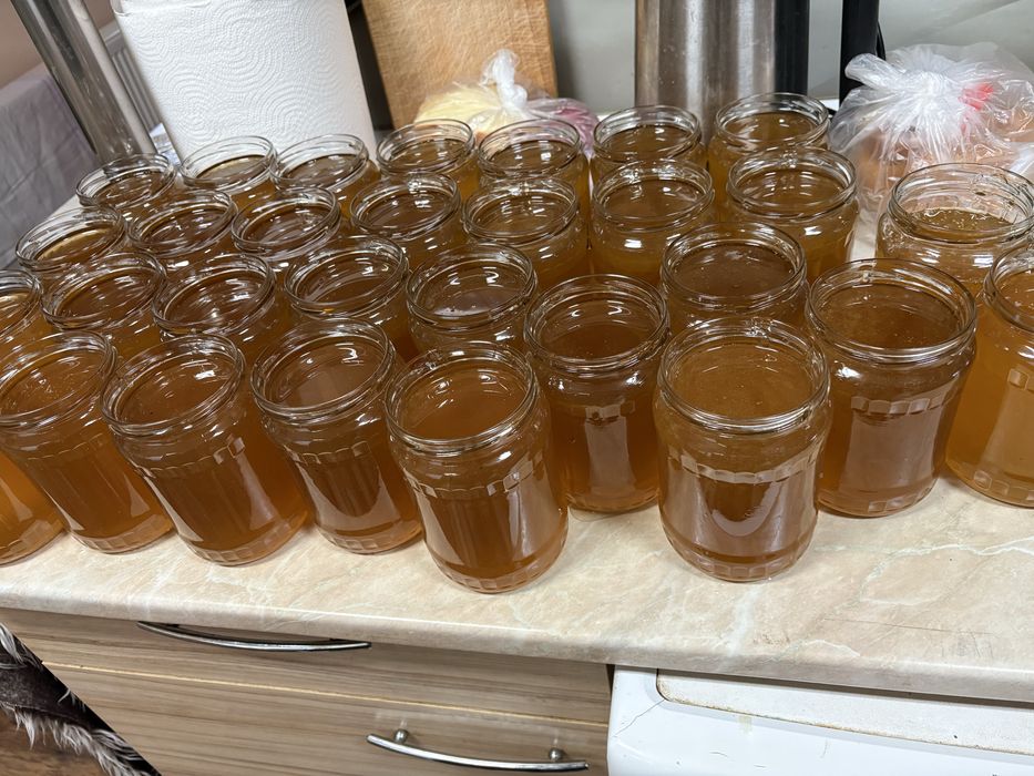 Мед Пчелен Натурален