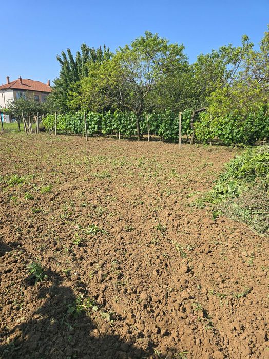 Продава се Къща в с. Калипетрово, Област Силистра - 45 кв.м за 680 €/кв.м - Снимка #16