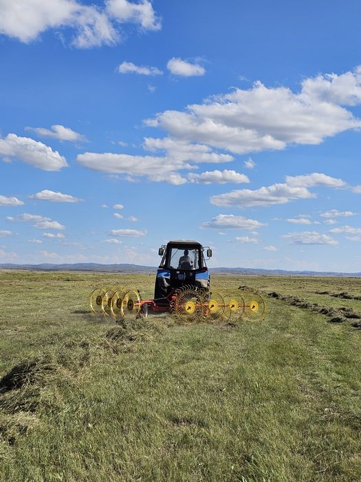 Шөп, Сена в рулонах.