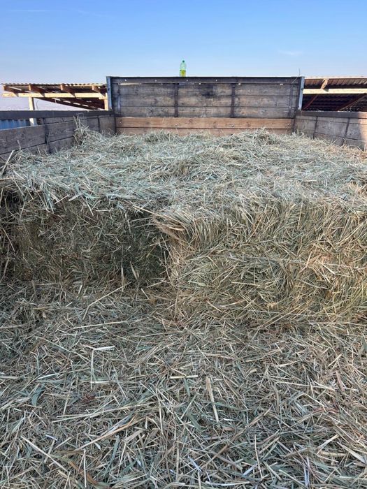 Кок Шоп сатылады | Продается Сено