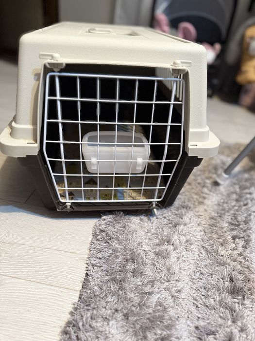 Vand cusca transport caine  mica