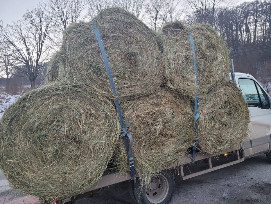 Vând fan de calitate! Am transport!