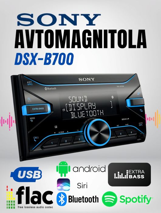 Оригинальный Sony DSX-B700