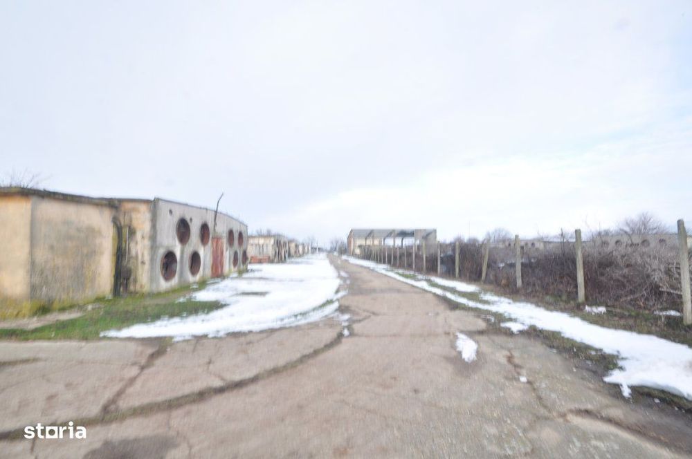 Ferma avicola inchiriere sau vanzare, localitatea Calacea