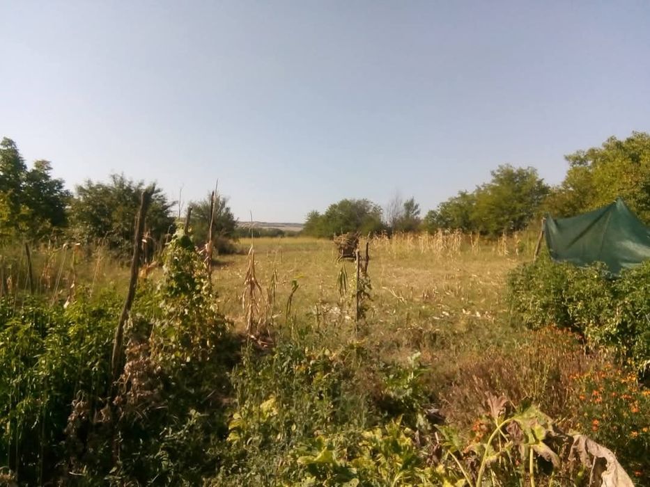 Продава се Къща в Видин, Център - 120 кв.м за 176 €/кв.м - Снимка #4