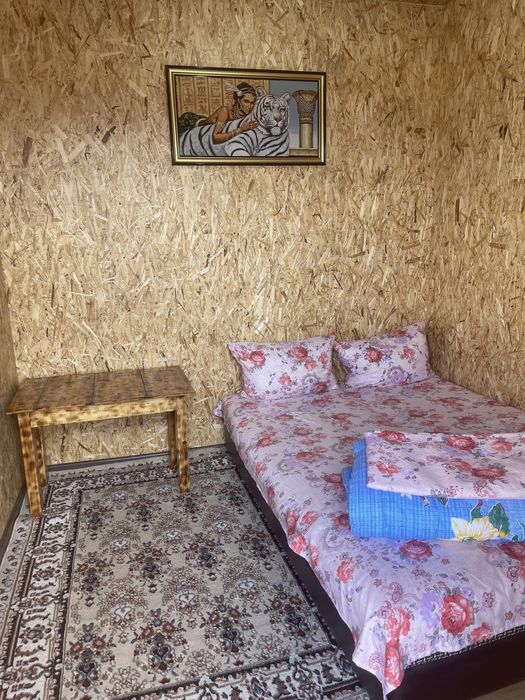 Домики в  Боровом