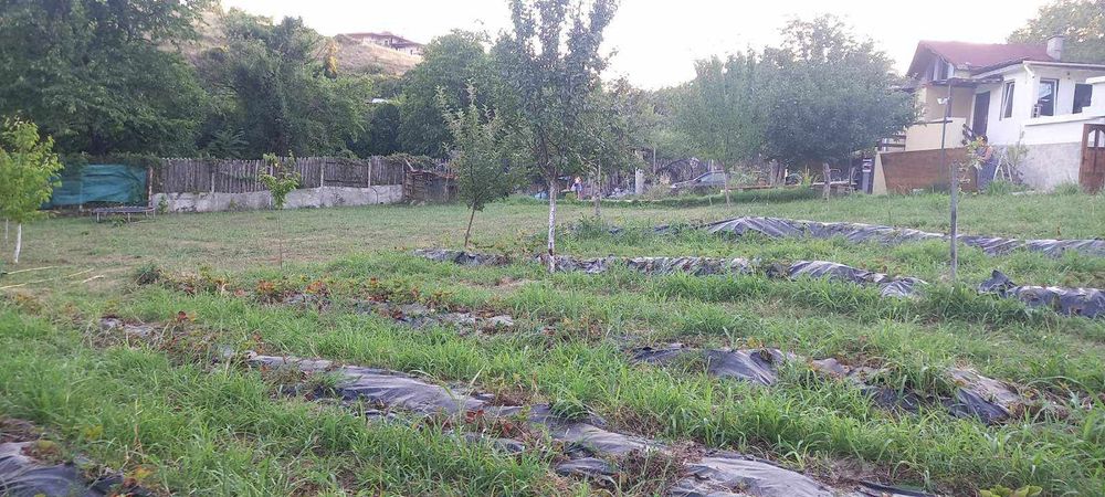 Продава се Парцел в Благоевград, Еленово 1 - 1000 кв.м за 82 €/кв.м - Снимка #3