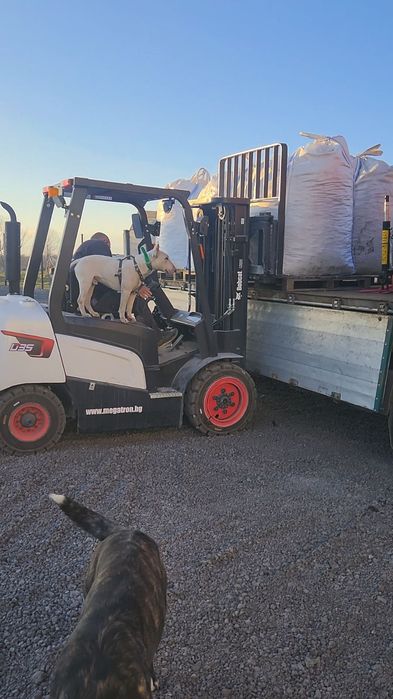 Слънчогледови  и дървесни пелети