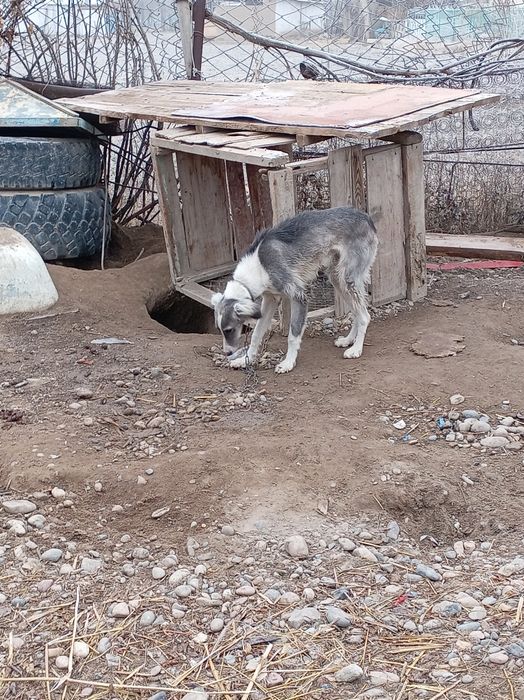 Тазы кушиккккккк