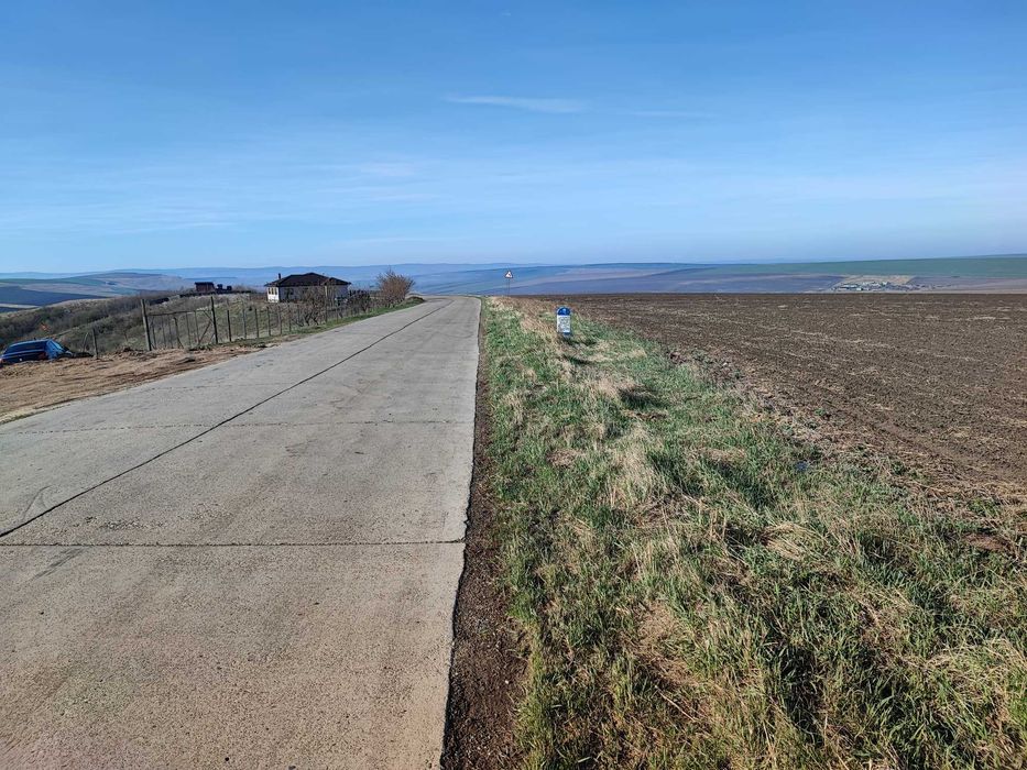 Rediu Horlesti 7840 mp des Soseaua  DJ 248b Vand-Inchiriez parcelabil