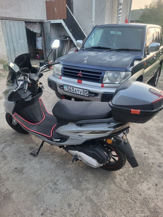 Продам максима срочно