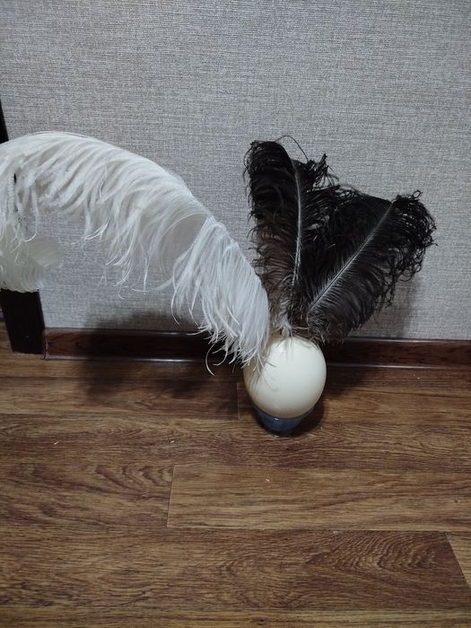 Страусиных перья для декора