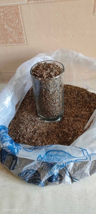 Семена дачного укропа