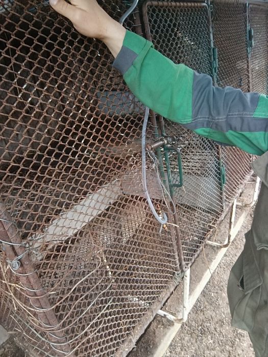 Cusca iepuri cu 4 compartimente