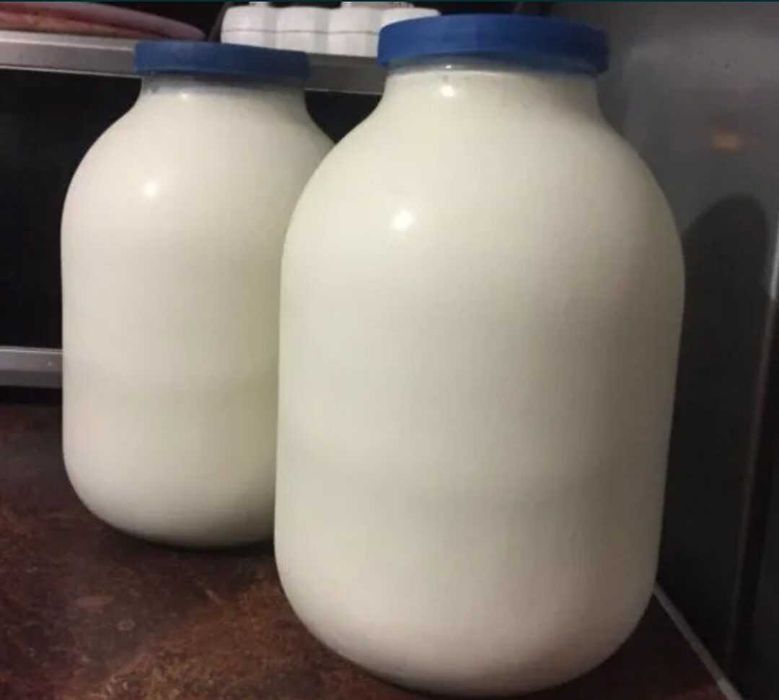 Домашние молочные продукты