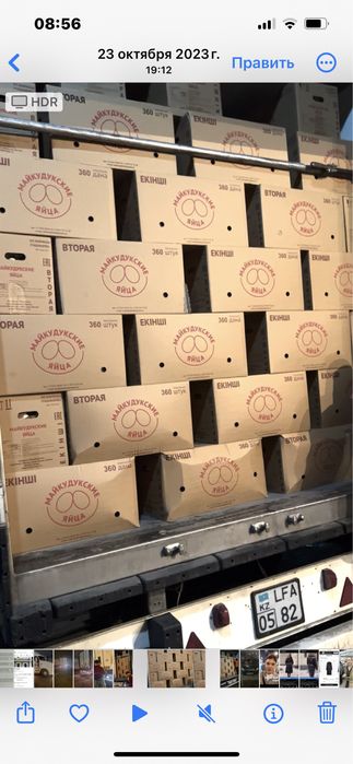 Реализем Яйцо куриное только оптом