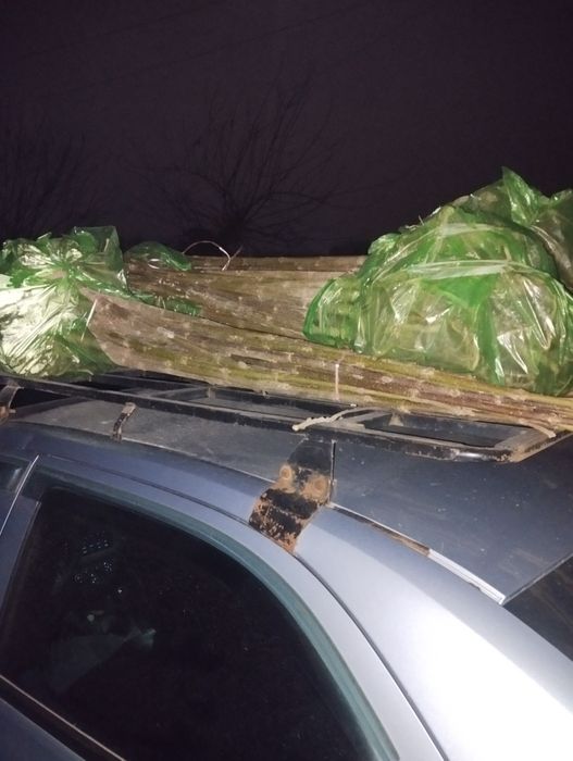 Енг арзони ва сифатлиси бизда..танлов у́з ку́лингизда