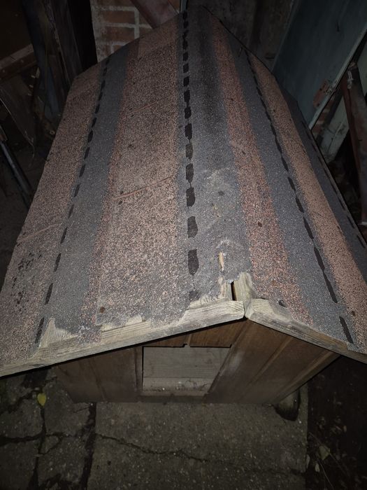 Cotet caine talie mare 120x80 cm