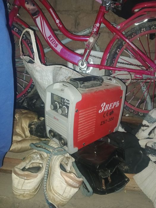 Sivarka aparati sotiladi zver