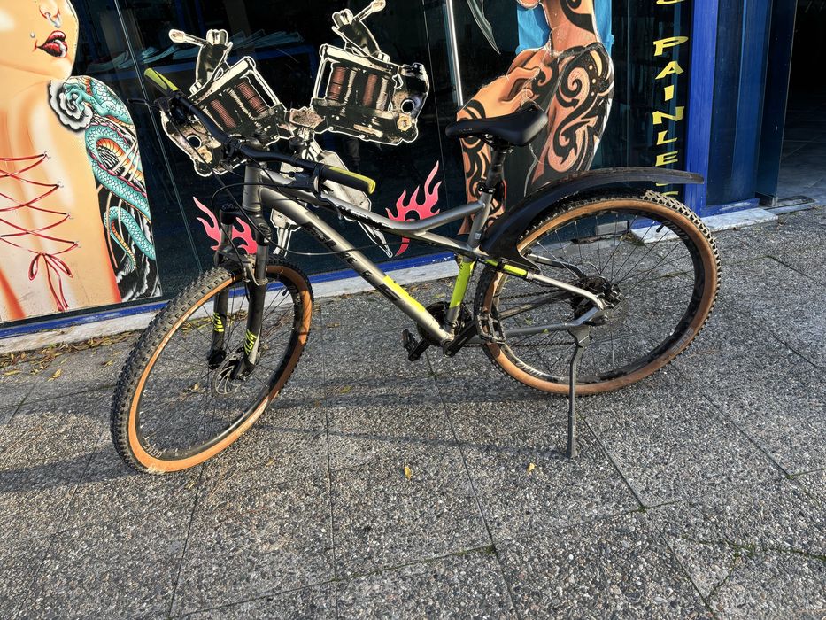 Bulls 27.5.