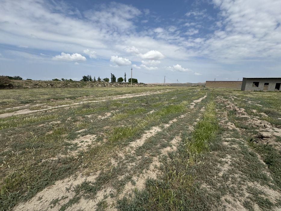 8 сотихли бўш ер майдони сотилади