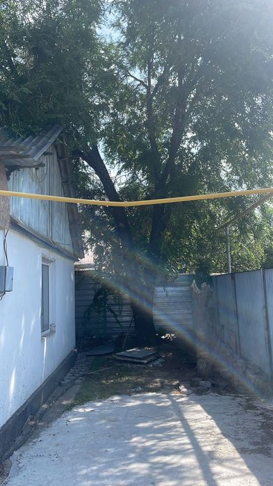 Спил деревьев любой сложности!