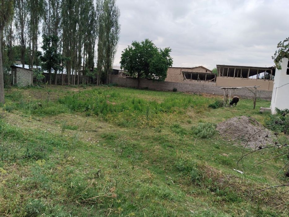 Ер сотилади. Yer sotiladi.