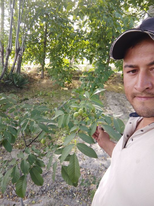 Karlek va polekarlek kuchatlar