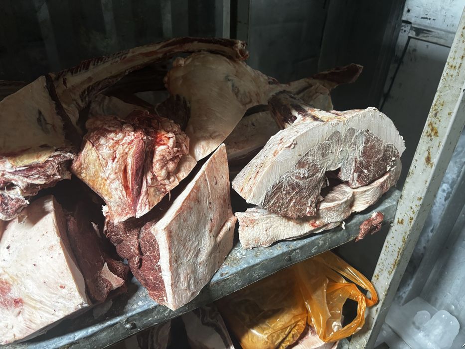 Продам жирных лошадей с откорма