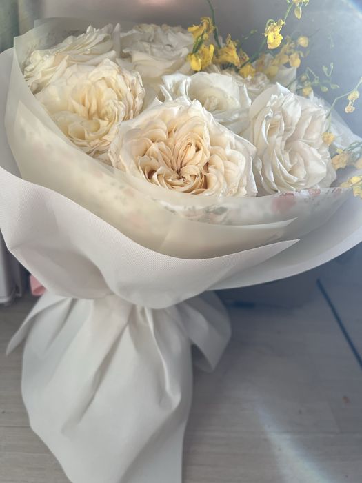 Продам цветы срочно