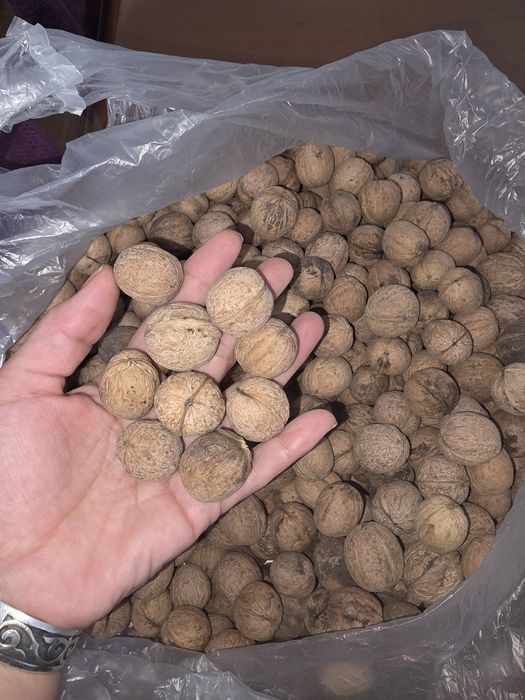 Жаңғақ сатылады  дәмді