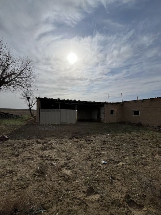 Шорнак Сауран поля