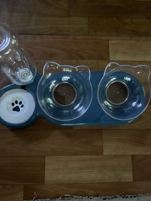 Отдам красивую кошечку