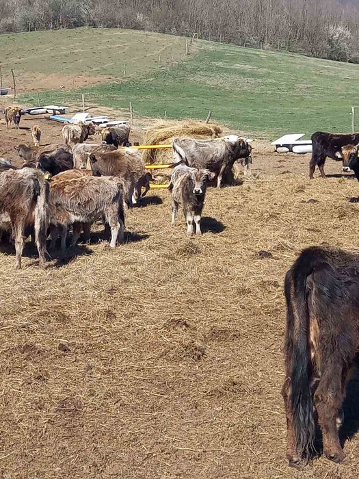 Хранилки за бали сено