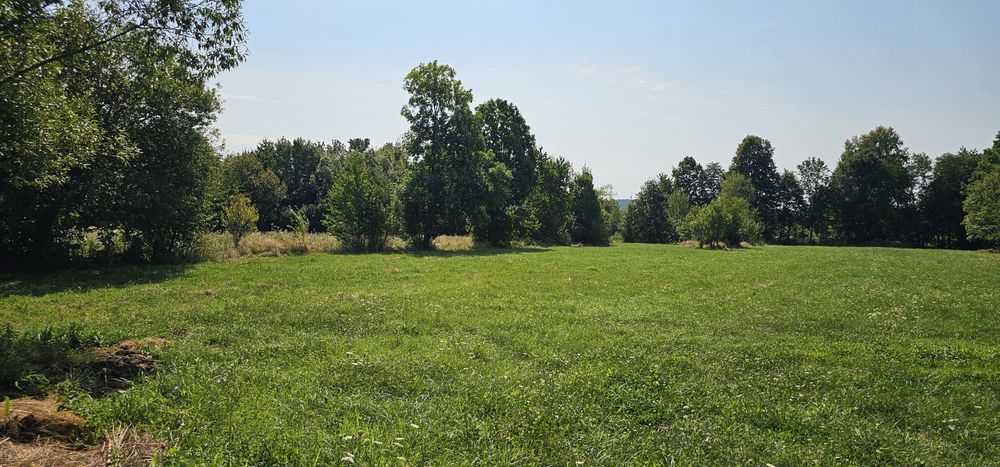 2.614 mp teren intravilan Brebu Prahova, cadastru si CU la zi
61