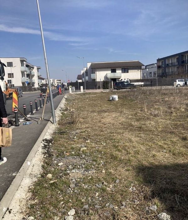 Ghimbav Florilor 14.O.O. Proprietate Lalelei Lamaitei 14.O.O..m