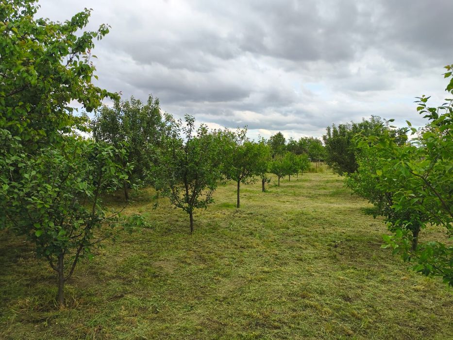 Casa de vanzare in comuna Coteana cu teren generos