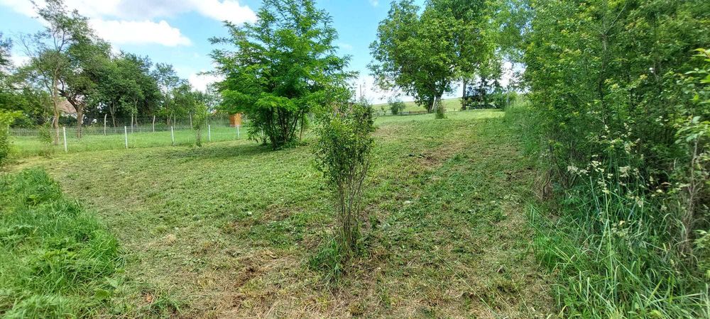 Vand 10 ari teren intravilan în SANTU